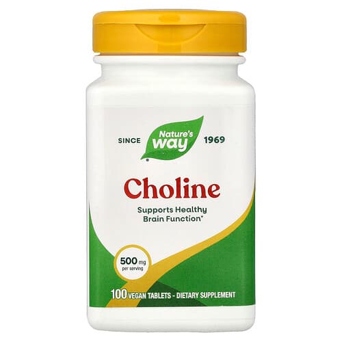 Nature's Way, Choline, 500 mg, 100 Vegan Tablets